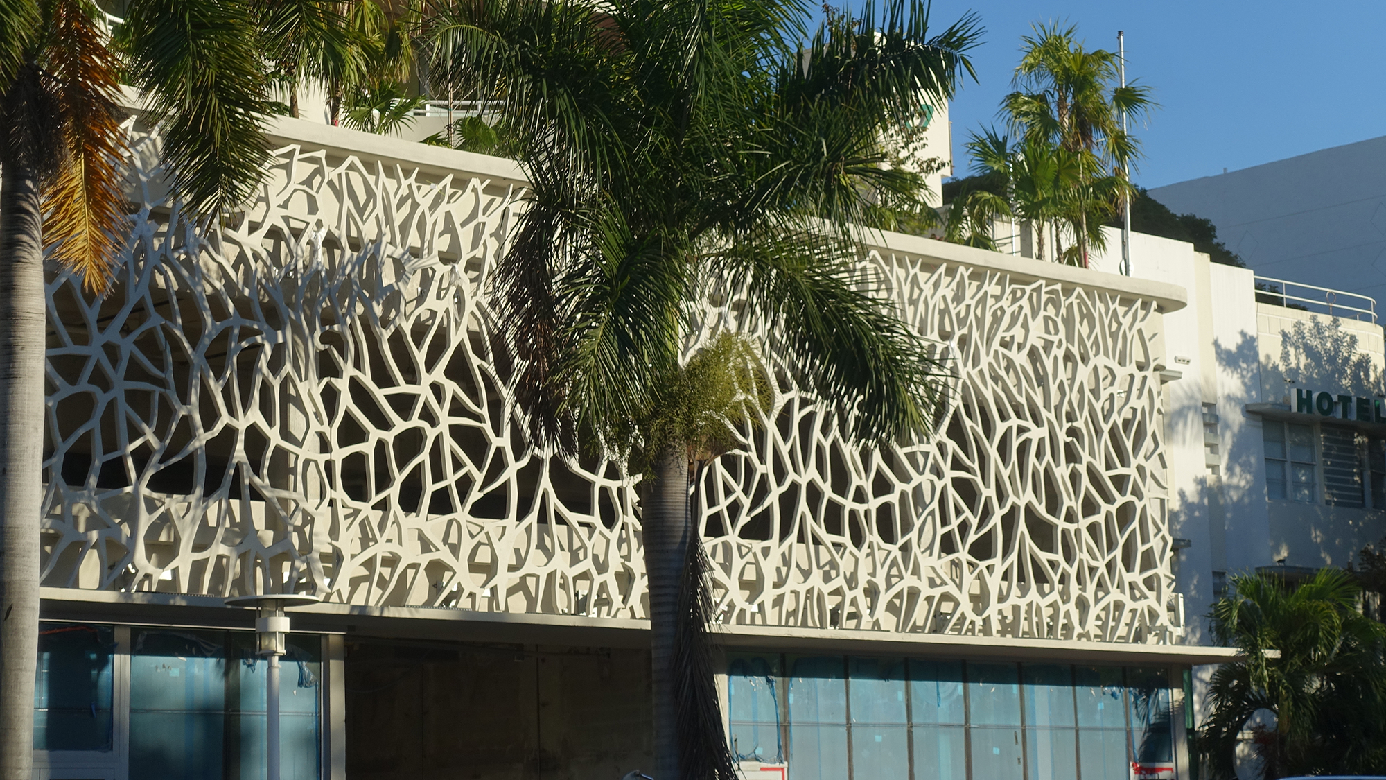 A closeup of a feature wall around a building with palm trees beside it.