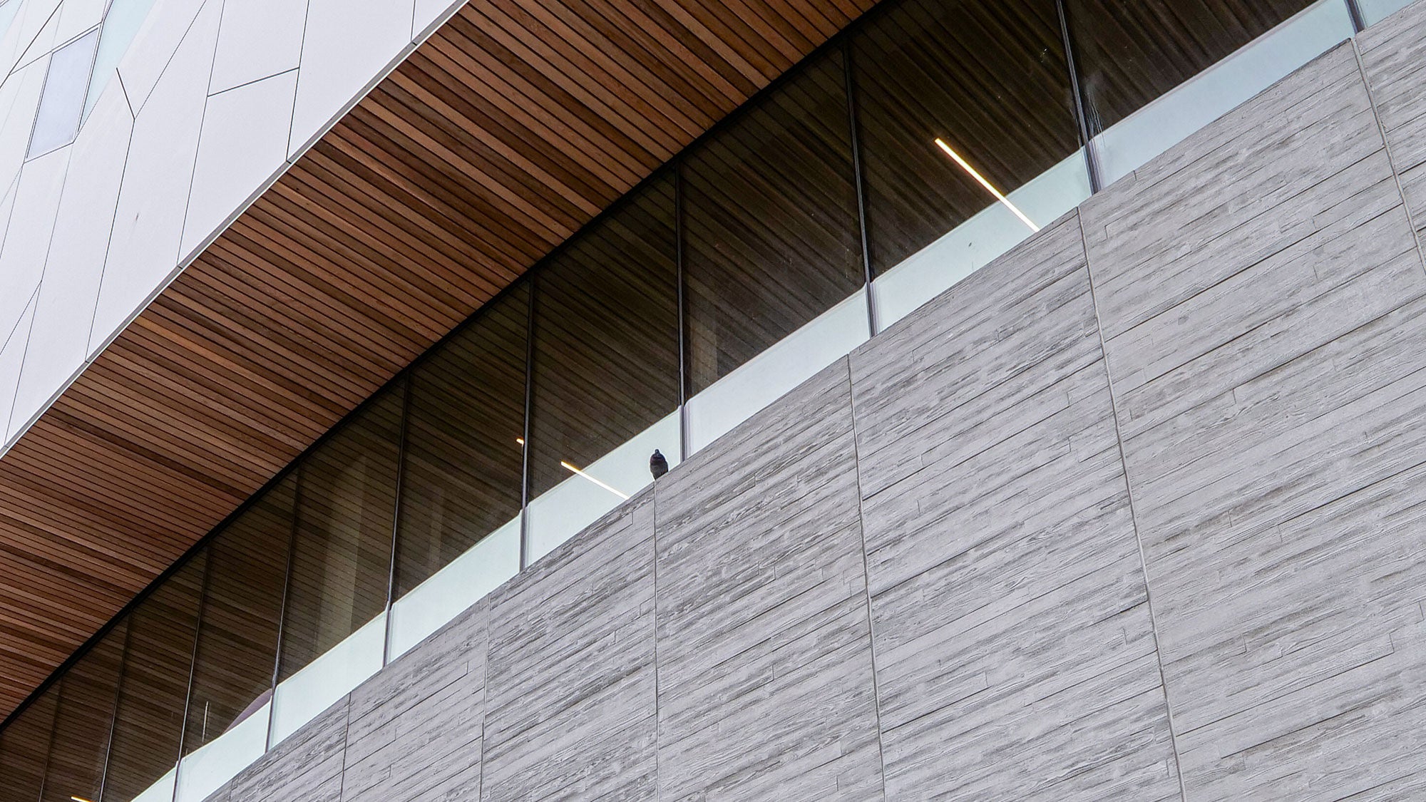Architectural detail showcasing the texture of Amrize’s precast concrete panels meeting a slatted timber ceiling at the Calgary Central Library.