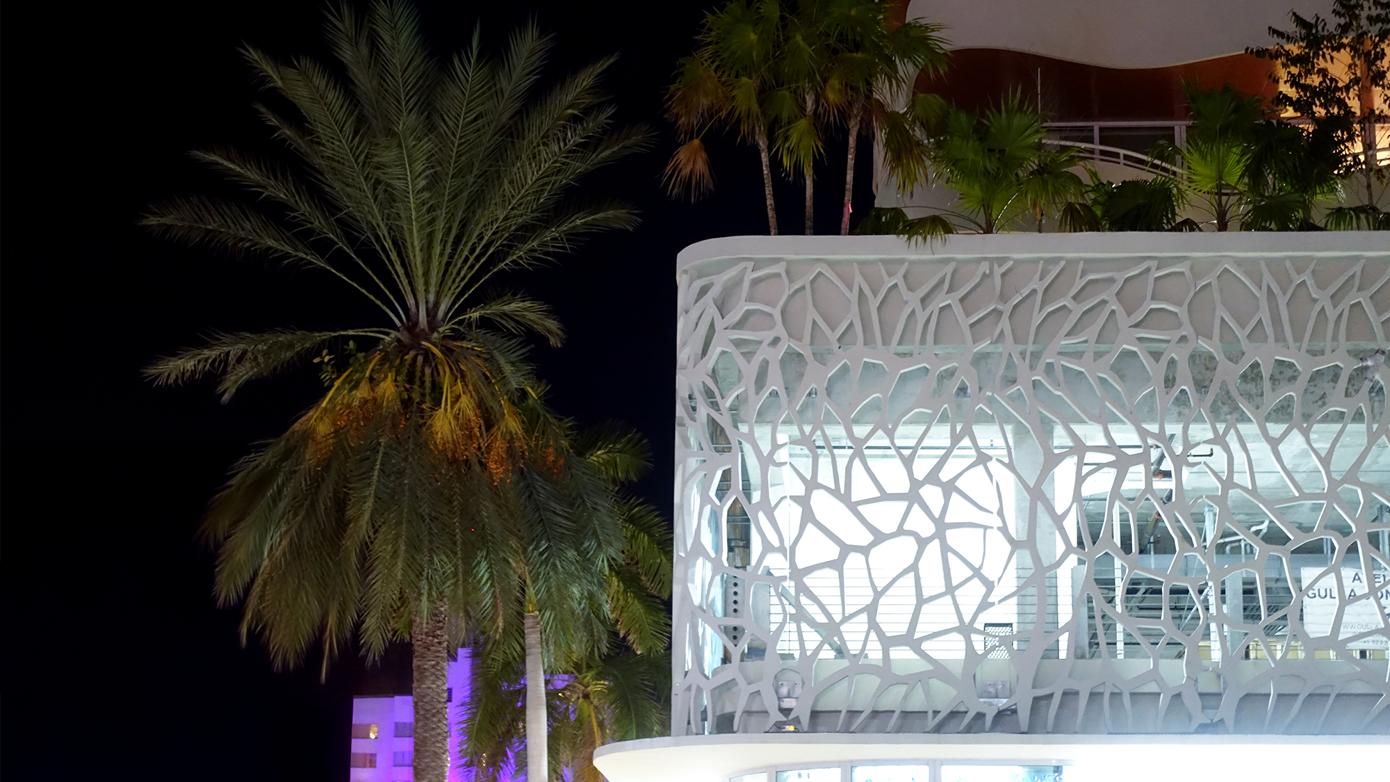 A lace-like feature wall photographed at night with a palm tree beside it.