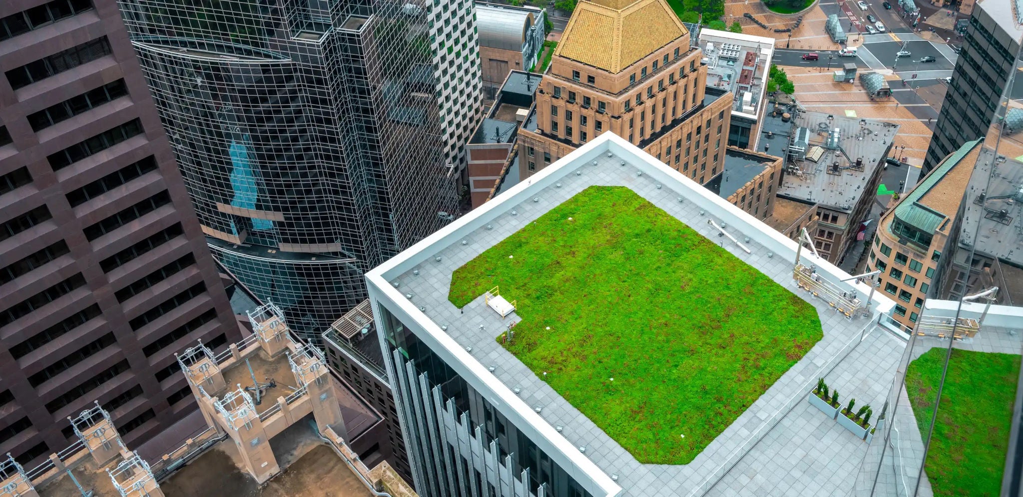 Un jardin sur la toiture d’un immeuble de grande hauteur, entouré de grands bâtiments, avec de l’herbe verte