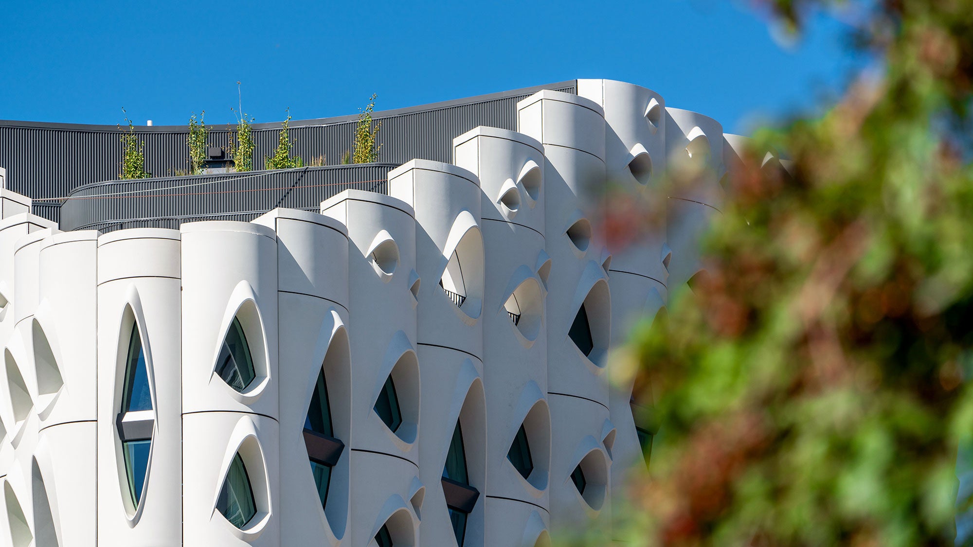 Populus’s upper floors and green roof, framed by blurred tree branches in the foreground.